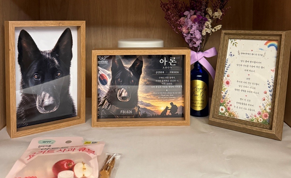 An Air Force military dog's funeral was held at the 'Banryeo Maru Memorial Hall' in Yeoju on the 7th. Provided by Gyeonggi Province