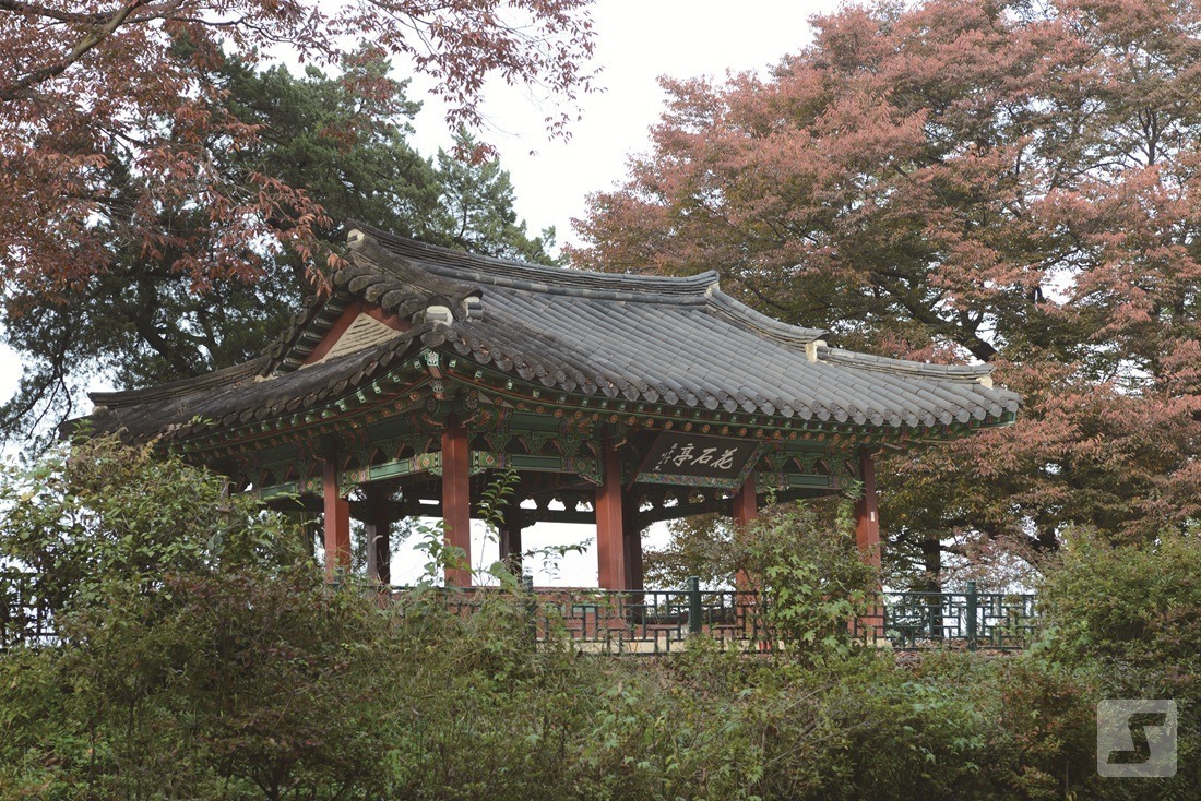 화석정